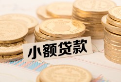 成都武侯区哪里有小额贷款-成都武侯区身份证贷款平台-成都武侯区民间短借