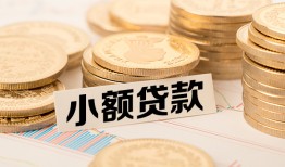 成都武侯区哪里有小额贷款-成都武侯区身份证贷款平台-成都武侯区民间短借