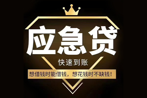 成都武侯区本地私借