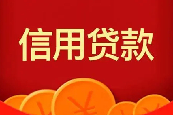 成都武侯区个人私借