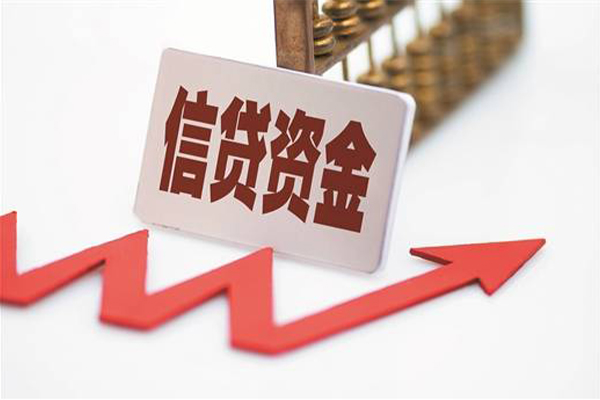 成都武侯区个人私借